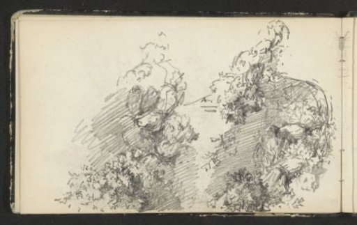 Bushes