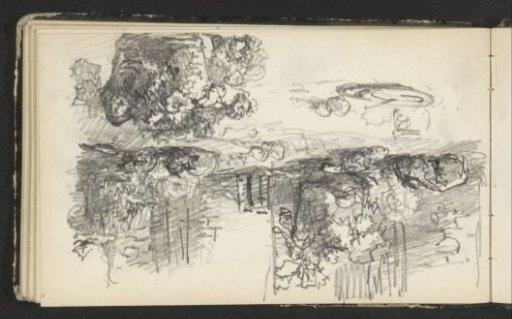 Landscape with bushes