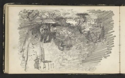 Still life on a forest floor