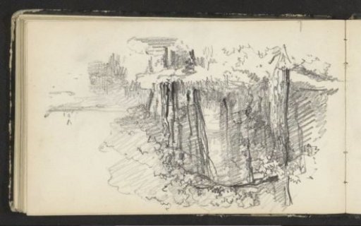 Trees along a river
