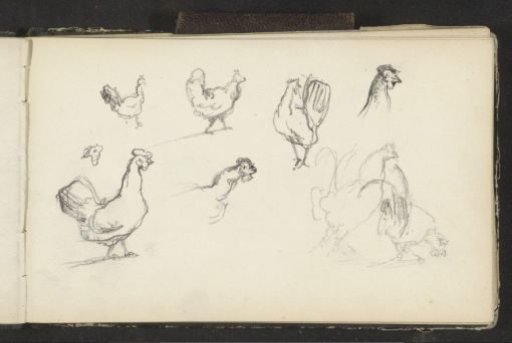 Hens