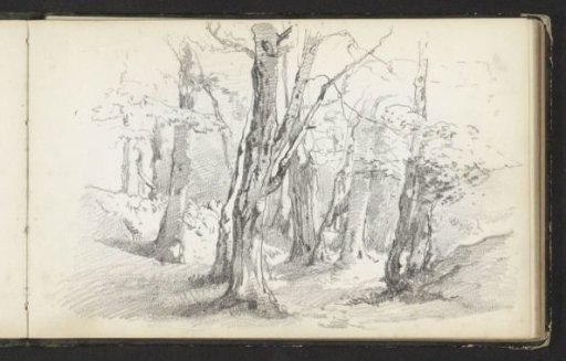 Woodland