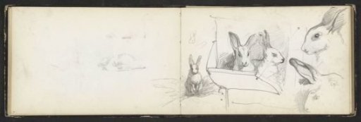 Rabbits