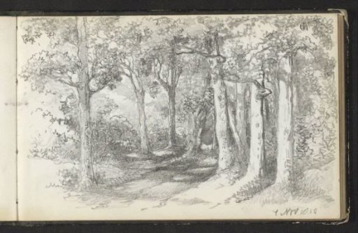 Woodland