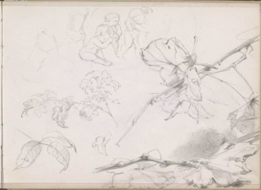 Butterfly on a branch