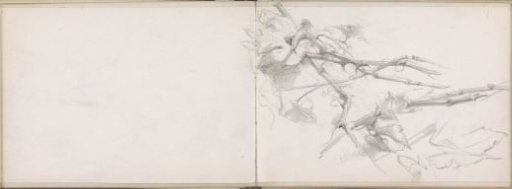 Branches with leaves