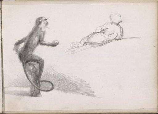 Monkey with an apple sitting on a branch