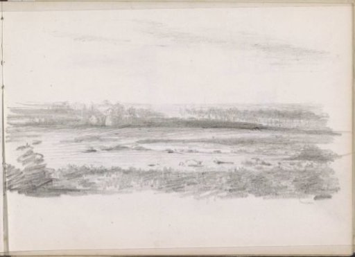 Flat landscape with trees