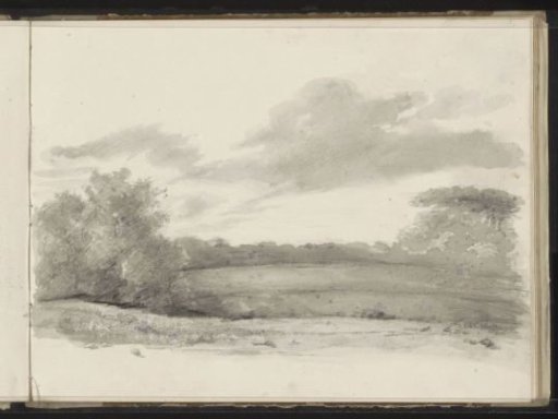 Landscape with trees