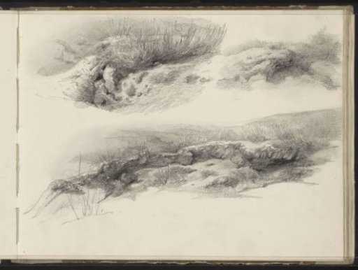 Landscapes with grasses