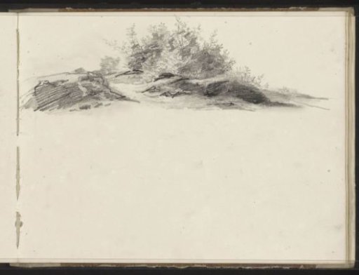 Landscape with bushes