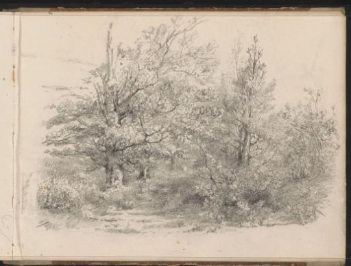 Landscape with trees