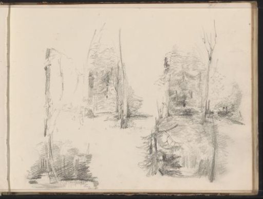 Forest views