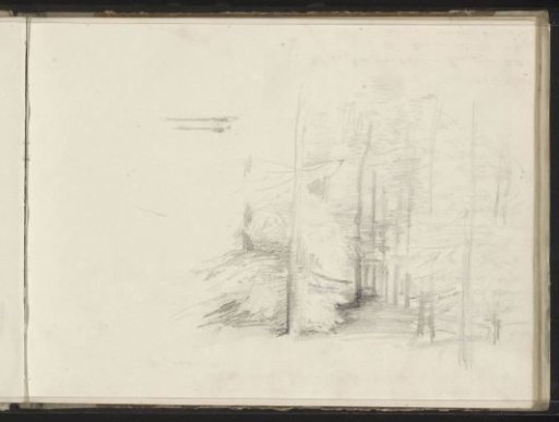 Forest path
