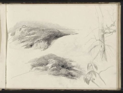 Landscapes, a branch with leaves and a tree with bare branches