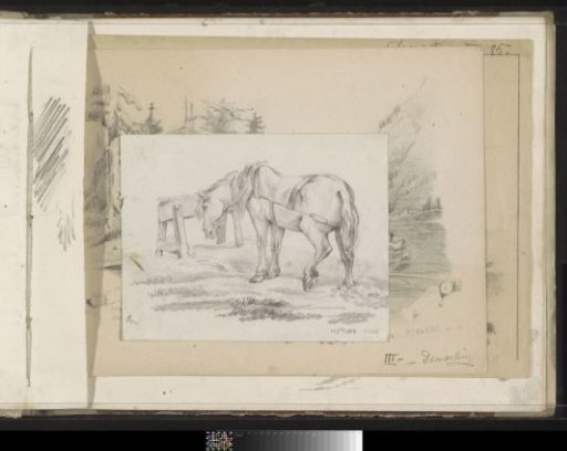 Standing horse