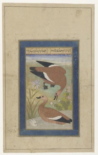 A Pair of Ducks
