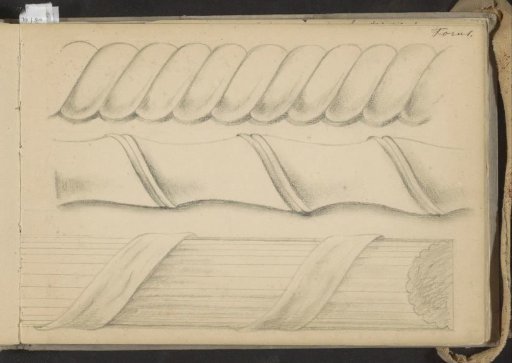 Three motifs with torus knots
