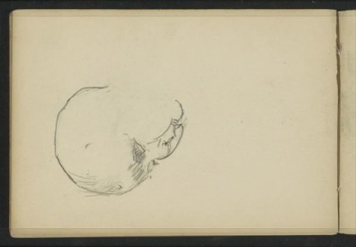 Head of a child