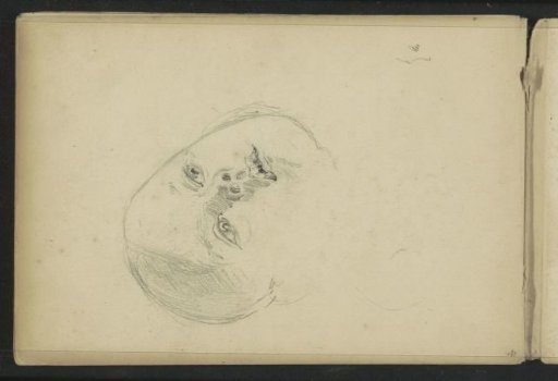 Head of a child