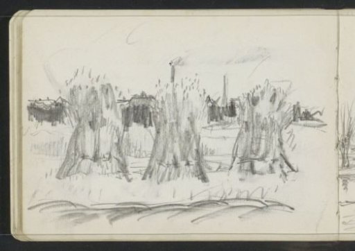 Sheaves of corn in a field