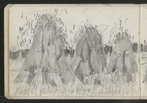 Sheaves of corn in a field