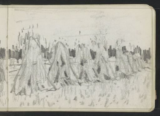 Sheaves of corn in a field