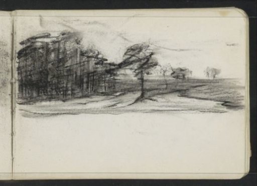 Flat landscape with a group of trees