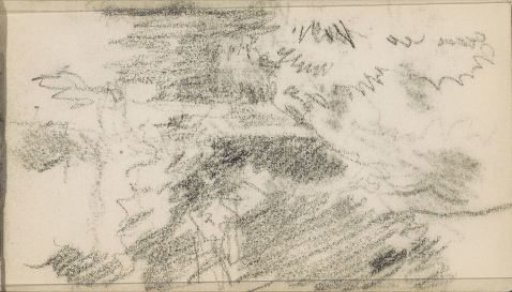 Landscape with trees and bushes