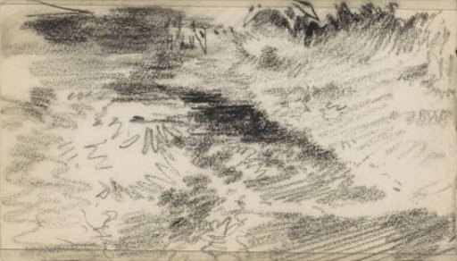 Heath landscape