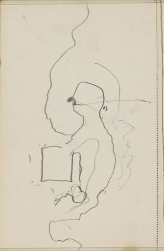 Study