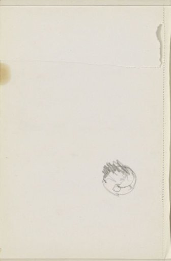 Study