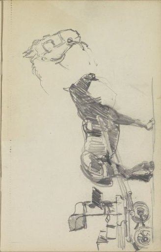 Draft horse harnessed to a cart