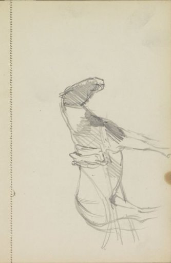 Saddled horse with harness