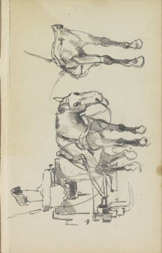 Horse-drawn carriage