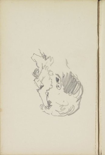 Portrait of a man with a beard