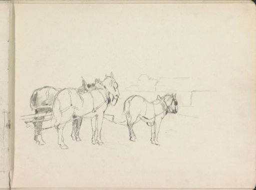 Three Witnessed Horses