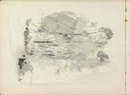 Landscape with Trees and Shrubs