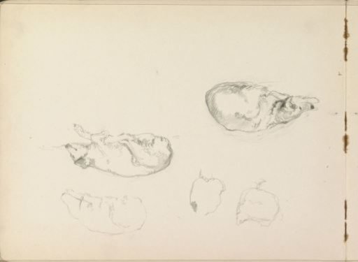 Hen and Lying Dogs