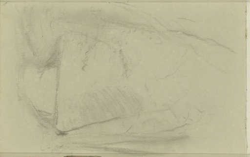 Study