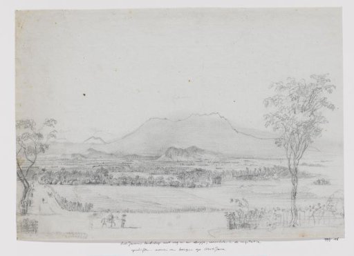 East Javanese landscape with a road, a village hidden in vegetation