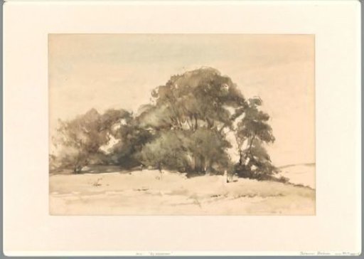 In the Dunes at Wassenaar