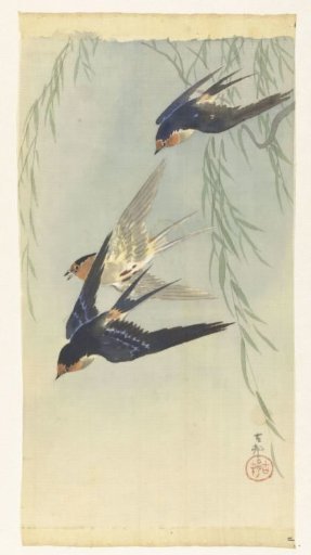 Three Birds in Full Flight