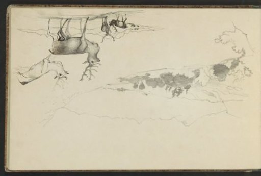 Mountain landscape and a landscape with deer