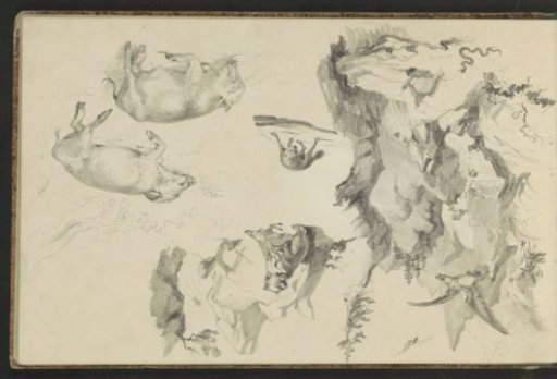 Rocky landscape with an eagle and a snake