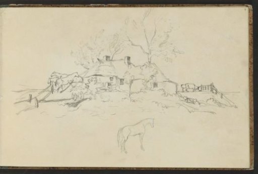 Grazing cows near a farm