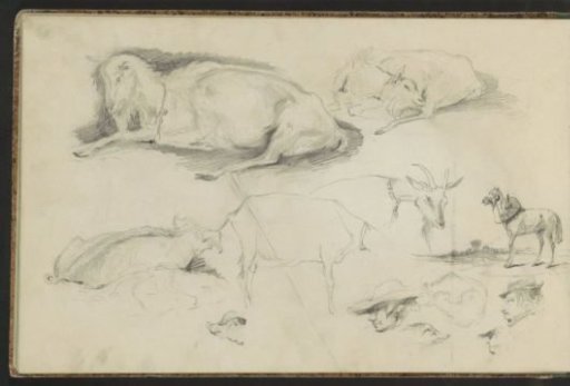 Goats, a Horse and Men's Heads