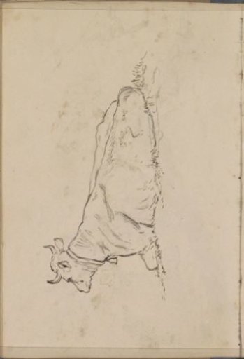 Reclining Cow with a Bell around its Neck