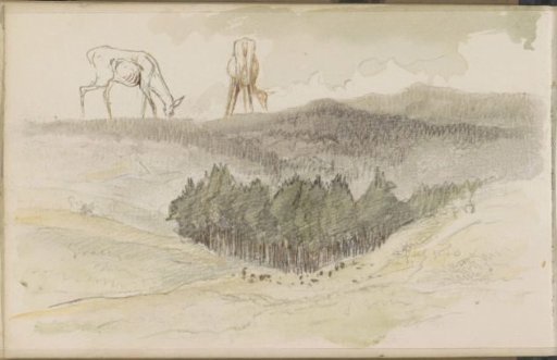 Forest in a Valley with Grazing Deer