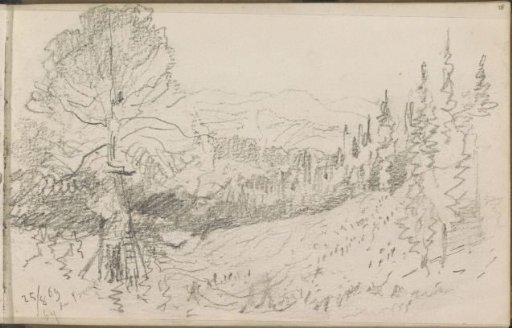 Mountain Landscape by the Beech at Schonau